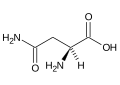 Asparagin (Asn, N)