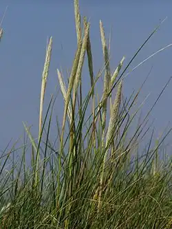 alternativní popis obrázku chybí