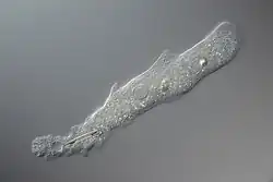 alternativní popis obrázku chybí