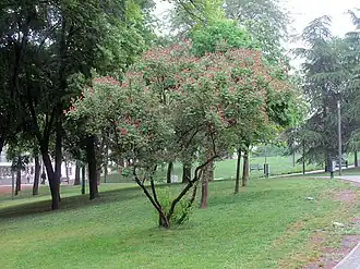 alternativní popis obrázku chybí