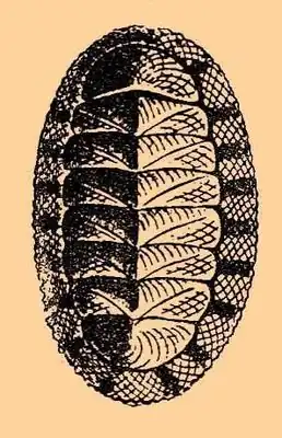 alternativní popis obrázku chybí