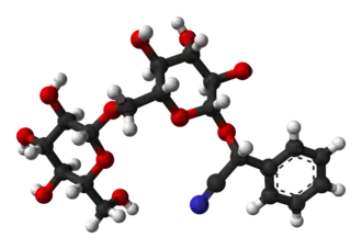 3D model (R)-amygdalinu
