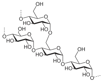 Amylopektin, složka škrobu