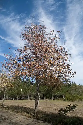 alternativní popis obrázku chybí