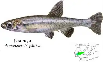 alternativní popis obrázku chybí