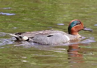 alternativní popis obrázku chybí