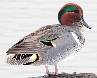 alternativní popis obrázku chybí