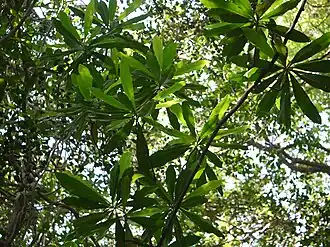 alternativní popis obrázku chybí