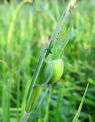 alternativní popis obrázku chybí