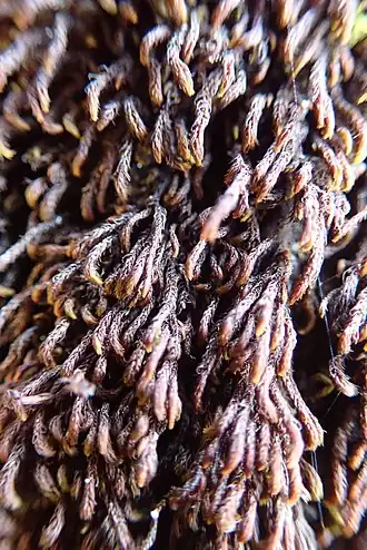 popis obrázku chybí