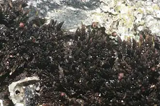 alternativní popis obrázku chybí