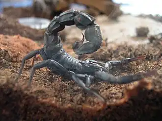 alternativní popis obrázku chybí