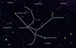 Souhvězdí Andromedy s liniemi souhvězdí