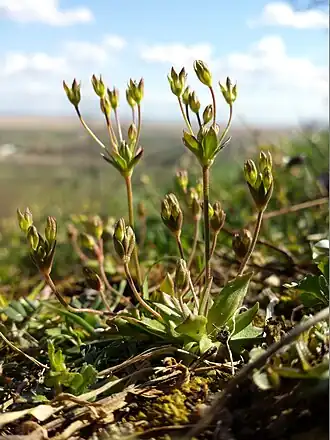 alternativní popis obrázku chybí