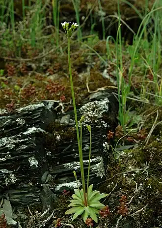 alternativní popis obrázku chybí