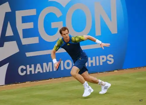 Andy Murray, 2013