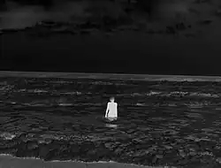 Fotografie ze série Negative Book