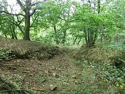 Angerbach u Kozlan.JPG