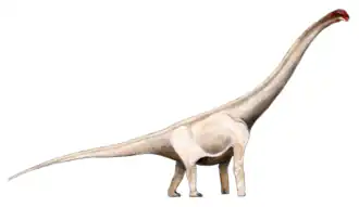 popis obrázku chybí