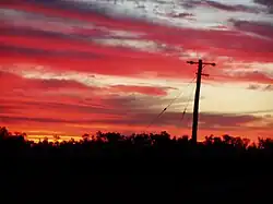 Pallamallawa, Austrálie