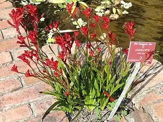 alternativní popis obrázku chybí