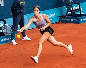 Anna Karolína Schmiedlová