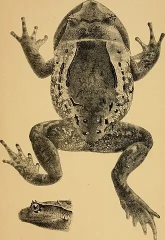 popis obrázku chybí