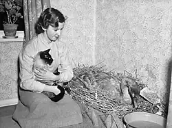 Anne Adams s nemocnou labutí, Newtown, 1953