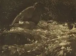 Potok, Camera Work, 1909