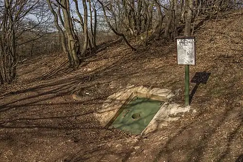 Vstup do jeskyně (2019)