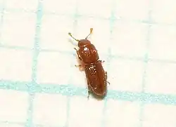 alternativní popis obrázku chybí