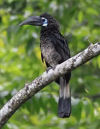 alternativní popis obrázku chybí