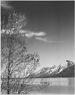 Národní park Grand Teton, Wyoming, 1941
