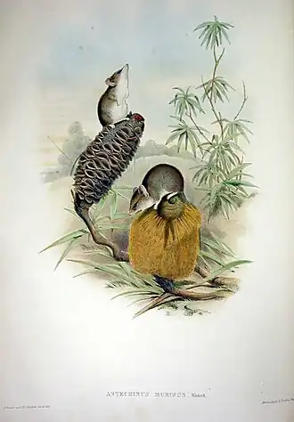 alternativní popis obrázku chybí