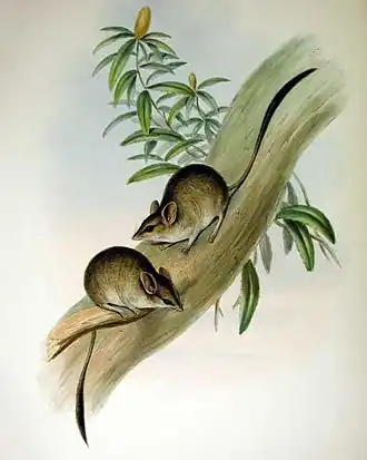 alternativní popis obrázku chybí