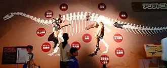 alternativní popis obrázku chybí