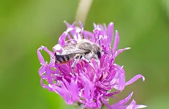 alternativní popis obrázku chybí