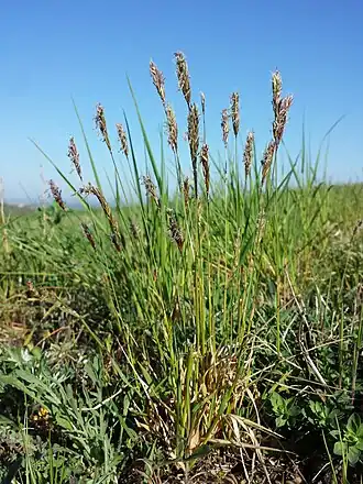 alternativní popis obrázku chybí