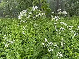 alternativní popis obrázku chybí
