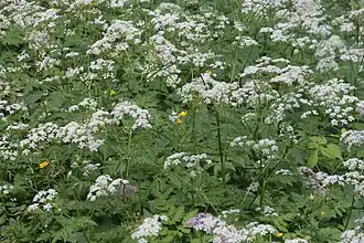 alternativní popis obrázku chybí