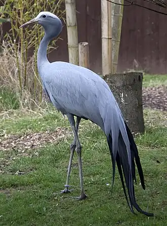 alternativní popis obrázku chybí