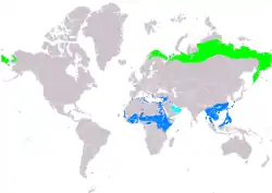 Rozšíření lindušky rudokrké