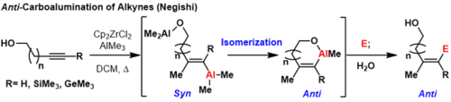 Anti-karboaluminace alkynů