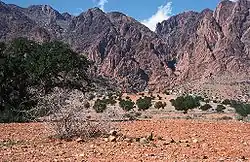 Údolí Ameln severně od města Tafraút