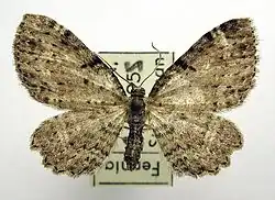 alternativní popis obrázku chybí