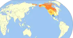 Areál rozšíření