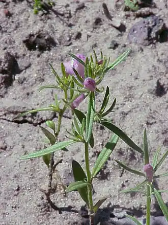alternativní popis obrázku chybí