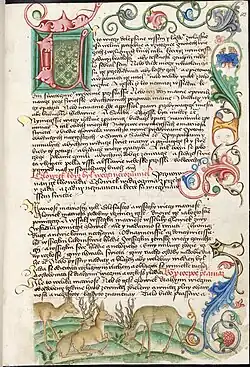 Ukázka ornamentální výzdoby na prvním listu Zrcadla o posledních věcech člověka, fol. 103r