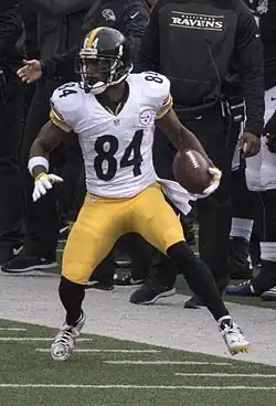 Antonio Brown (27. prosince 2015)