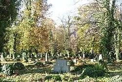 Stará část hřbitova